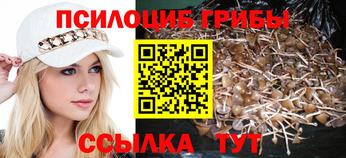 Батайск  Псилоцибиновые грибы Psilocybine cubensis  Псилоцибиновые грибы GOLDEN TEACHER  Вход с VPN 